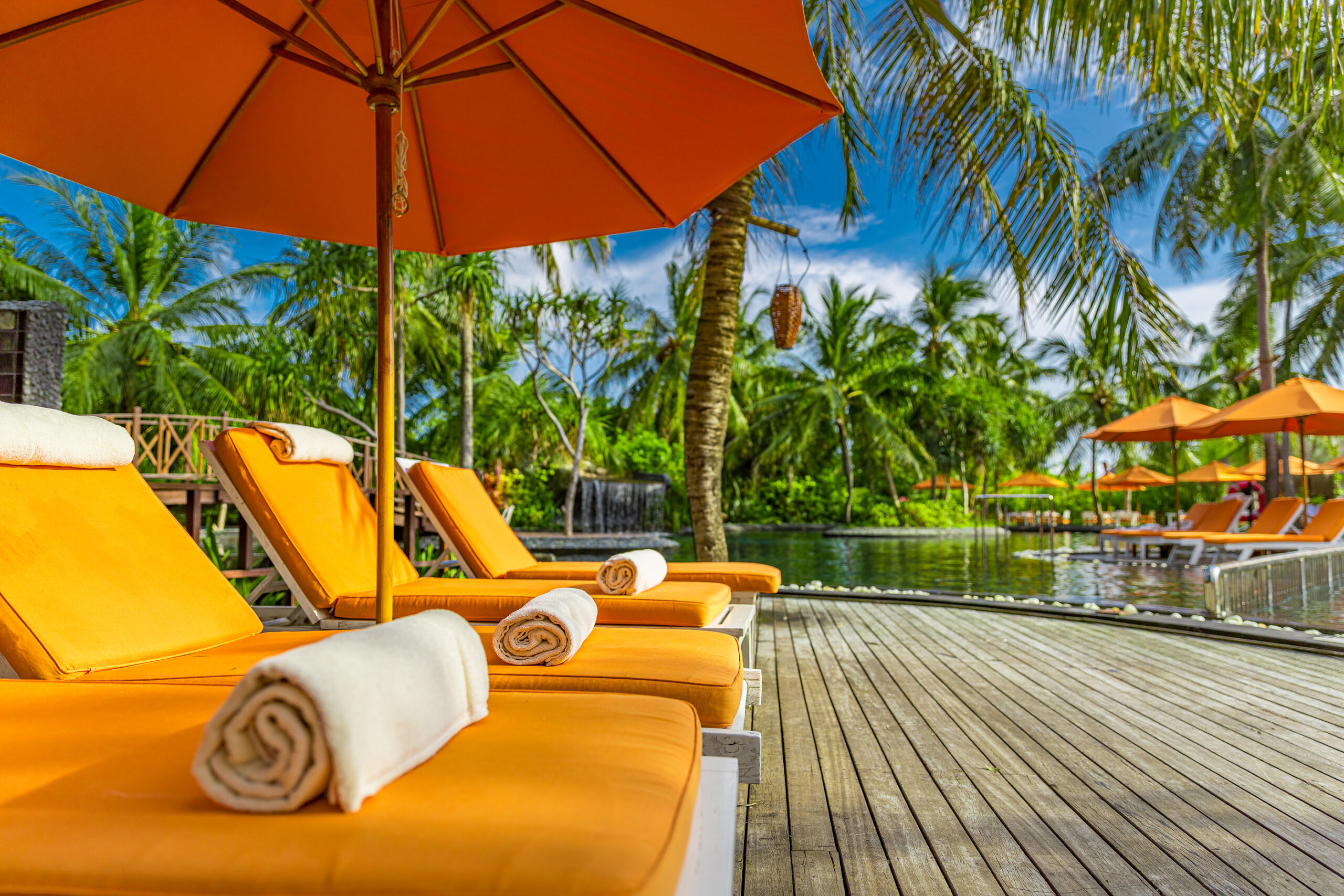 Lounger with umbrellas close to swimming pool in luxury resort. Palm tree leaves, sunny tropical poolside, recreational concept. Empty chair deck lounge around swimming pool in hotel for travel vacation background